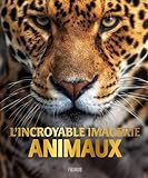 L'incroyable imagerie animaux