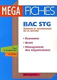 Economie Droit Management Des Organisations Bac Stg