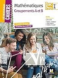 Les Nouveaux Cahiers   Mathematiques   1re Bac Pro Groupements Ab