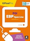 Pixel Pro Pgi Ebp Openline 2de 1re Tle Bac Pro