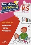 Les Cahiers Effaables Ms