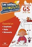 Les Cahiers Effa%C3%A7ables Gs