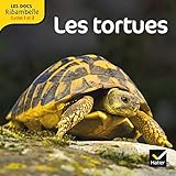 Les Docs Ribambelle Cycle 2 %C3%A9d. 2013   Les Tortues