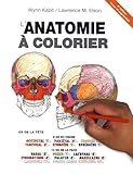 Lanatomie Colorier