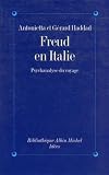 Freud en Italie: Psychanalyse du voyage (Bibliothèque Albin Michel. Idées)