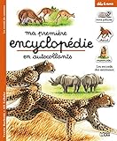 Les Records Des Animaux Prim 