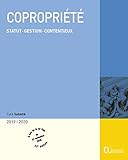 Coproprit Statut Gestion Contentieux