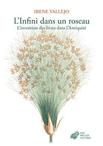 L'Infini dans un roseau - L'invention des livres dans l'Anti