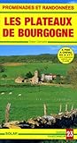 Plateaux De Bourgogne Promenades Et Randonnes