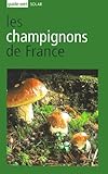 Les Champignons