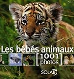 Bebes Animaux En 1001 Photos
