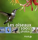 Oiseaux En 1001 Photos