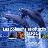 Les Poissons Et Ctacs 1001 Photos