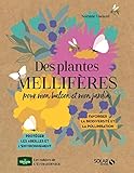 Des plantes mellifères pour mon balcon et mon jardin