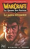 Warcraft La Guerre Des Anciens Tome 4 Le Puits Deternit