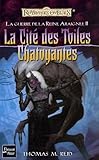 La Guerre De La Reinearaigne Tome 2 La Cit Des Toiles Chatoyantes