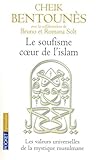 Le Soufisme Coeur De Lislam Les Valeurs Universelles De La Mystique Islamiste