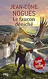Le Faucon Dnich 1