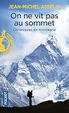 On Ne Vit Pas Au Sommet Chroniques De Montagne