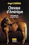 Chevaux D'am%C3%A9rique
