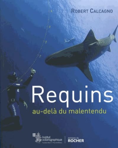 Requins — Au-delà du malentendu