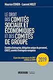 Le Droit Des Comit%C3%A9s Sociaux Et %C3%A9conomiques Et Des Comit%C3%A9s De Groupe (cse)