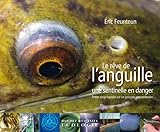 Le R%C3%AAve De L'anguille
