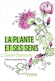 La Plante Et Ses Sens