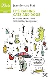 It's Raining Cats And Dogs : Et Autres Expressions Idiomatiques Anglaises
