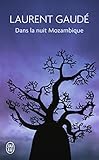 Dans La Nuit Mozambique Et Autres Rcits