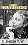 Posie Rester Vivant Le Sens Du Combat La Poursuite Du Bonheur Renaissance Configuration Du Dernier Rivage