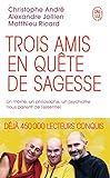 Trois Amis En Qute De Sagesse Un Moine Un Philosophe Un Psychiatre Nous Parlent De Lessentiel