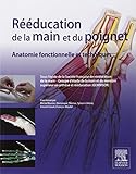 Rducation De La Main Et Du Poignet Anatomie Fonctionnelle Et Techniques