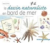 Le Dessin Naturaliste   Bords De Mer