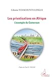 Privatisations En Afrique Lexemple Du Cameroun