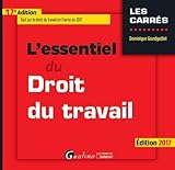 Lessentiel Du Droit Du Travail