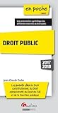 Droit Public : Les Points Cl%C3%A9s Du Droit Constitutionnel, Du Droit Administratif, Du Droit De L'ue Et De La Fonction Publique