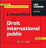 L'essentiel Du Droit International Public