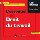 Lessentiel Du Droit Du Travail