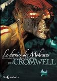 Le Dernier Des Mohicans