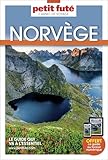 Norvgège