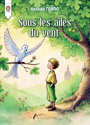 Couverture de Sous les ailes du vent