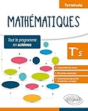 Math%C3%A9matiques   Terminale S   L'essentiel Du Cours, Cartes Mentales Et Exercices Avec Annales Corrig%C3%A9s