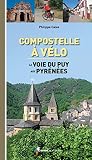 Compostelle Vlo La Voie Du Puy Aux Pyrenes