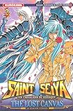 Saint Seiya, Les Chevaliers du Zodiaque, The Lost canvas.