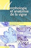 Morphologie Et Anatomie De La Vigne