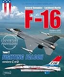Fighting Falcon Tome 2