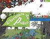 AVENTURE DU POLLEN (L') (DOCUMENTAIRES)