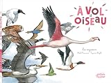 A Vol D'oiseau