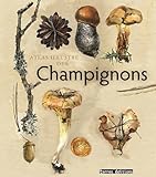 Atlas Illustr Des Champignons